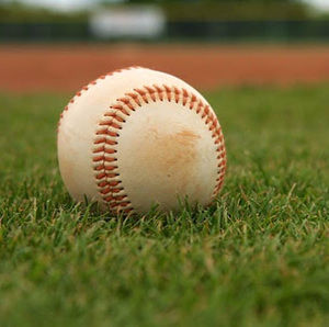 Meet your Posher, George